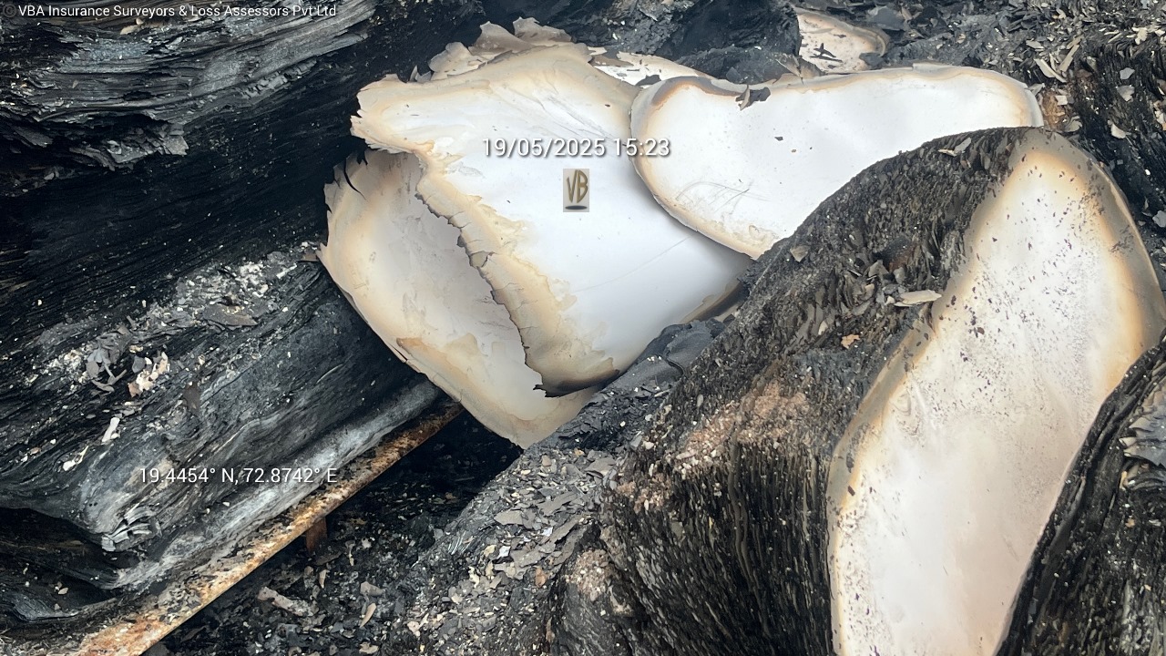 WhatsApp Image 2025-09-22 at 11.53.57 AM (2)