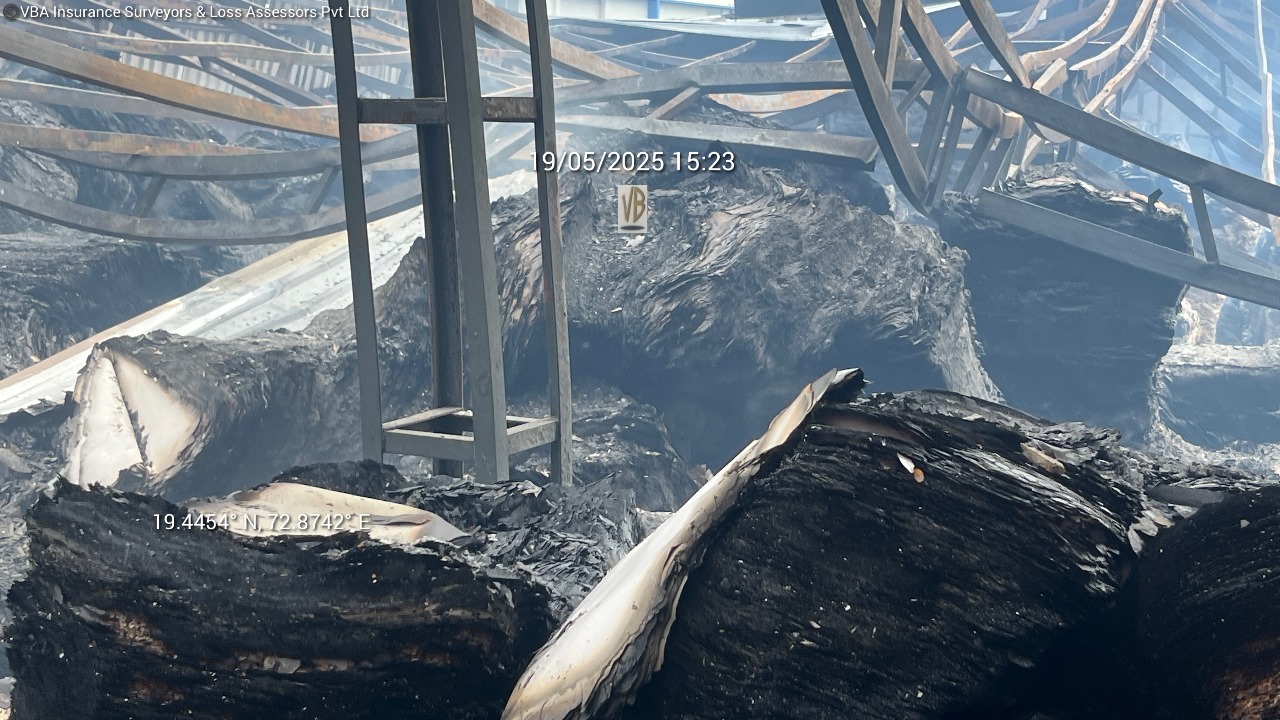 WhatsApp Image 2025-09-22 at 11.54.02 AM