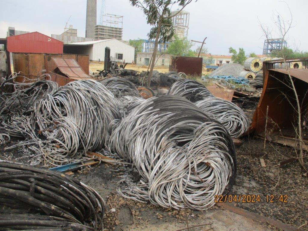 WhatsApp Image 2025-10-04 at 11.29.18 AM